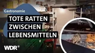 Salmonellen im Essen: Warum Beh&ouml;rden Restaurants trotz krasser M&auml;ngel offenlassen | Westpol | WDR