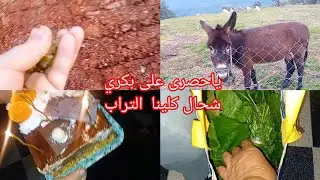 خرجة صباحية منعيشة au champ وفي العشية تلمينا مع خواتاتي  قبل ميرجعوا لديارهم   