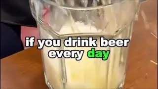 If you drink beer everyday what will happen to your body | Benefits of eating chia seeds everyday