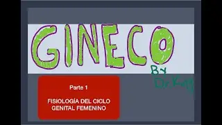 Rumbo al ENARM: Repaso rápido de Ginecología 