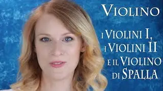 VIOLINO - i Violini I, i Violini II  e il Violino di Spalla