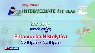1st Inter Zoology || Entamoeba Histolytica || Intermediate Education || October 08, 2020