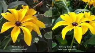 iPhone 6s plus vs Samsung Galaxy S6 - the ULTIMATE 4k Video Quality comparison