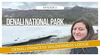We Visited Denali National Park! (2024)