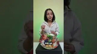 Проект Plated: Бренд товаров для дома, борющийся с голодом 👀 | Оформление заказов через BotSpace