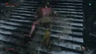 Sekiro: Contact Medicine and Mist Raven Feathers vs. Ogre