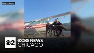 Baby moose rescued after falling into Alaska lake