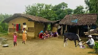 Village Life In Nepal Daily Routing Work - Typical Rural Nepali Village Lifestyle - Rural Life