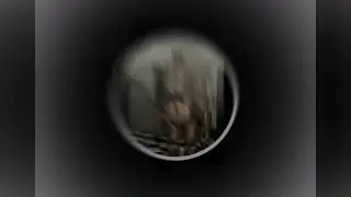 Untrust us slowed and the voice effect Deep