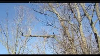 Canon PowerShot ELPH 110 HS Video Test | ThePlusSideOfThings