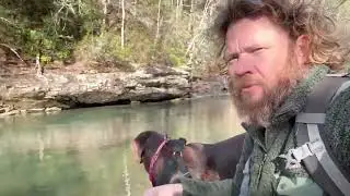Creek footage with chocolate lab Stella 