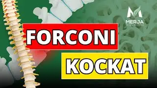 Ylli Merja -Ndërtoni kocka që nuk thyhen me ndihmën e natyrës