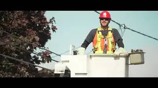 Woody  - City of Hamilton - Traffic Department