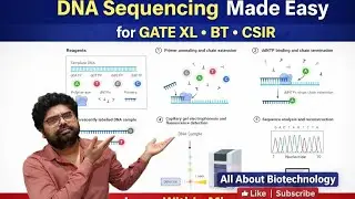 DNA Sequencing Simplified | NET JRF • GATE XL • DBT BET | Biotechnology!!!!