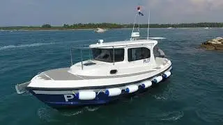 Scorpionero 950 P