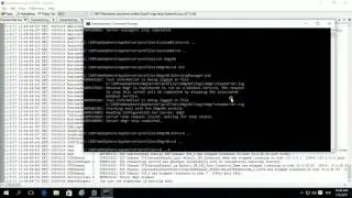 IBM Websphere Application Server Manage Profiles and Delete Profiles