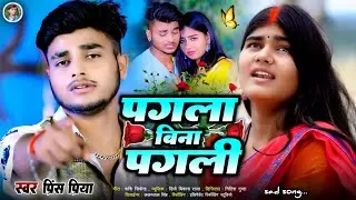 #पगला बिना पगली#Prince Priya ka Bewafa Gazal geet#Jakhmi jackbox#Dard bhara#non stop 2025 ka bewafai