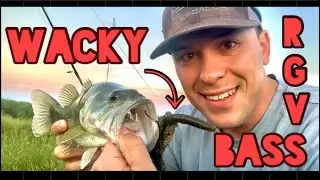 RGV fishing BASS on WACKY Rig!