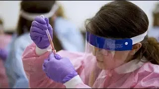 BLD Graduate Program at MSU