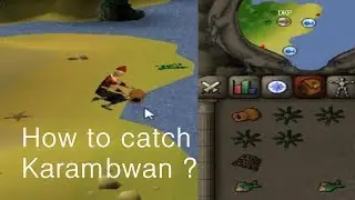 Runescape 2007 How to catch Karambwans