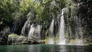 10-minute Relaxing Music in Nature, Mindful Break from Stressful Days