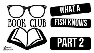 Book Club: What a Fish knows Part 2