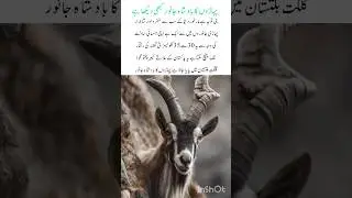 Markhor: The Mighty Twisted Horn of the Mountains #markhor #naturefacts #wildlife #nature #shorts