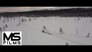2025 Sweden Trip