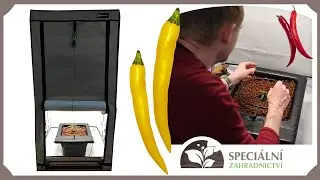 Pěstování chilli Flo Gro 1 I Speciální Zahradnictví.cz
