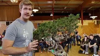 Bonsai demo by Bjorn Bjorholm
