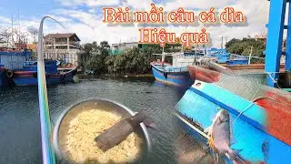 Câu cá dìa bằng rường cơm
