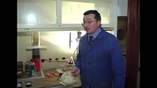 ALT Energy HD 1