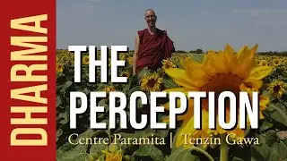 BUDDHISM & MEDITATION : S01 EP06 - Perception (or Discrimination)