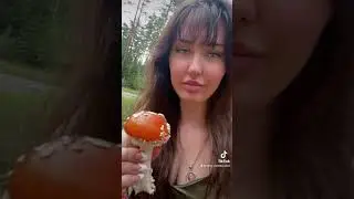 Trying amanita for the first time 🍄🌲🏕️ #mushroom #crazy #funnyvideos #amanitamuscaria #norway