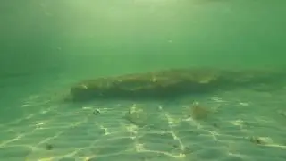 Point of Rocks, Siesta Key - Raw Underwater Video with GoPro