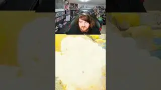 BIRD UP
