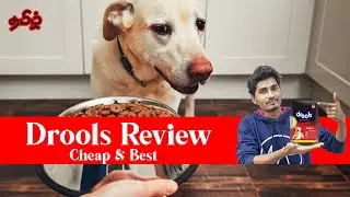 Drools Adult Food Full Review  in Tamil