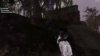 Dirt palace Asylum
