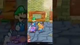 Paper Mario TTYD Co-op