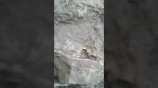 Breaking up the crystal vein