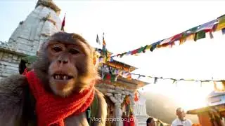 Going to Nainital monkey bablaa the vlogger