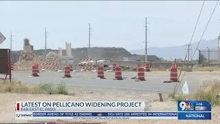 Still no end in sight for long-delayed Pellicano Project