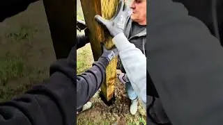 Building a Custom Firewood Shed. Pt.1                #fyp #views #shop #firewood #shed #woodproject