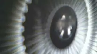 Egied Simlons_Naked Eye Light_DEAF_2012.mov
