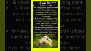 Surprising Rose Facts You Never Knew! 🌹🤯 #shorts #youtubeshorts #funfacts