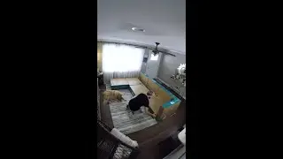 Surprising My Wife with Our Dream Couch...a LOVESAC!