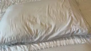 Purple Harmony Pillow, The Greatest Pillow Ever Invented, Good Housekeeping Award Winning Pillow