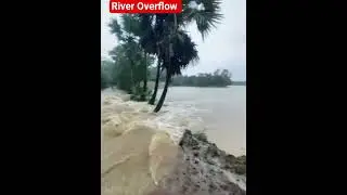 River Overflow Water 💧 Flood alert ⚠️ 📢 😳 #officialchannel #mumbaisuberban #live #Assam