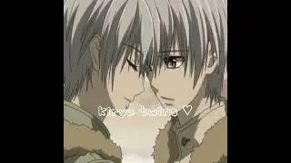 zero and ichiru - vampire knight