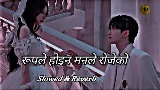 Slowed and Reverb Rupale Hoina (Gham Chhaya) new cover song